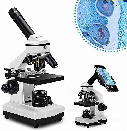 Solomark-Mikroskop, 20x - 1280x professionelles monokulares biologisches Verbundmikroskop-Set, koaxiale Grob- und Feinfokussteuerung mit Telefonadapter und Objektträgern