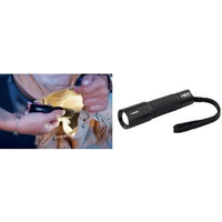 ANS 1600-0170 - LED-Taschenlampe M100F 70 lm schwarz 1x AA Mignon (1600-0170)
