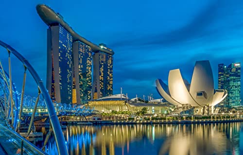 LHJOYSP Erwachsenen Puzzle 1000 Teile Stadtbrücke Singapur 75x50cm
