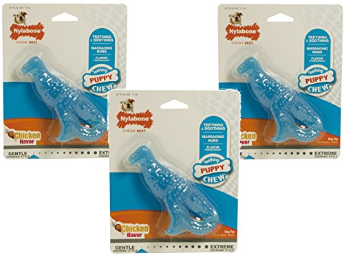 Nylabone (3 Pack) Puppy Dental Dinosaur T-Rex Chicken Flavor Dog Teething Toy