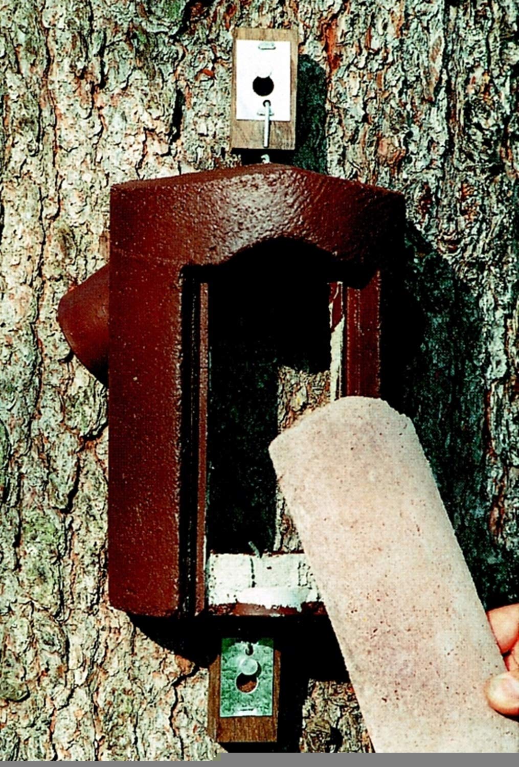 Schwegler Naturschutzprodukt Baumläuferhöhle Satz 2 Stück Typ 2B räubersicher Nisthilfe Nisthöhle Vogelhaus