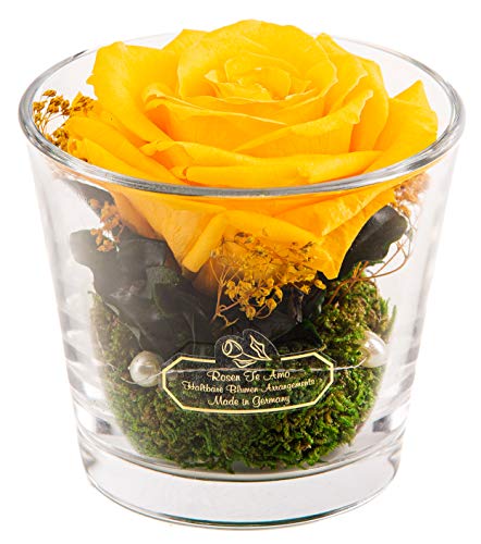 Rosen-Te-Amo 1 konservierte Gelbe Rose in der Vase mit echten Bindegrün; Konservierte Rose im Glas: ideal als Weihnachten-Deko 3 Jahre haltbar ohne Wasser