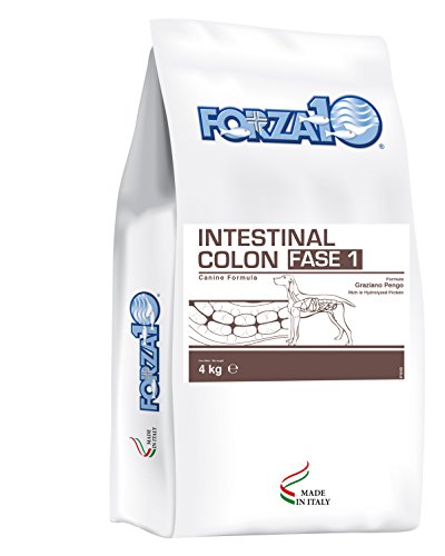 Forza10 Intestinal Colon Phase I Trockenfutter für Hunden mit Magenschleimhautentzündung, 1er Pack (1 x 4 kg)