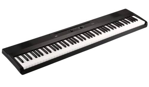 KORG Piano Liano L1 schwarz leichte Berührung