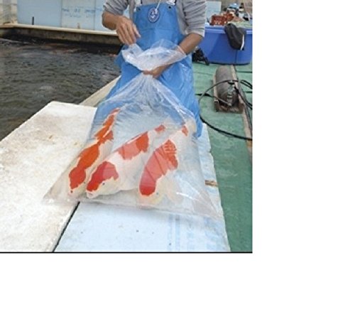 Schönheits Shop 20 Koi Fischbeutel Transportbeutel Fischtüten Fischtransportbeutel 50x120 cm