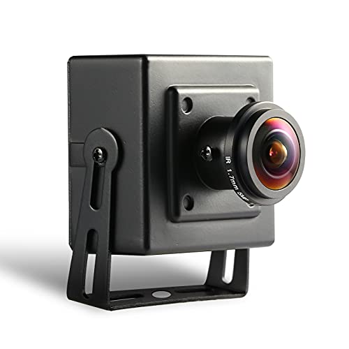 Revotech Mini Fisheye POE IP Kamera, HD 3MP Sicherheits Innenkamera ONVIF 1,7 mm Objektiv 170 Grad Winkel P2P Remote View H.265 CCTV Videokamera(I706-3-P Schwarz)
