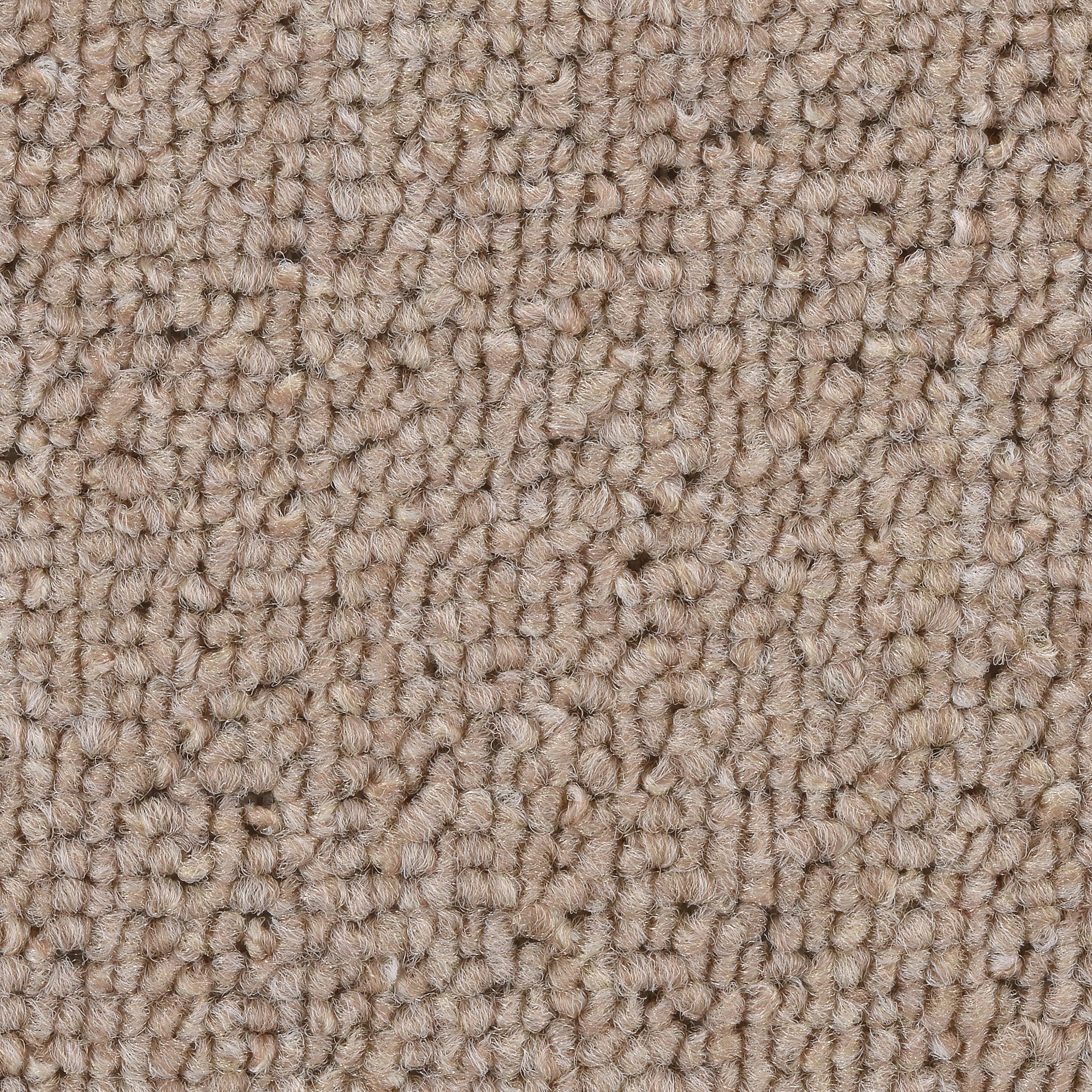 BODENMEISTER BM72051_beige_450x500 Teppichboden Auslegware Meterware Schlinge 400 cm und 500 cm breit, Verschiedene Längen, Variante, 4,5x5m