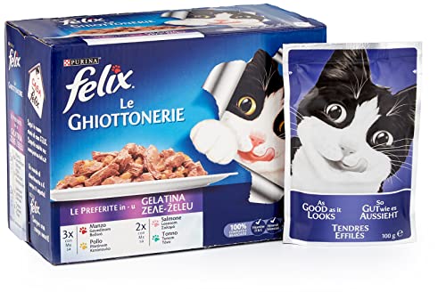 Felix Purina Le Ghiottonerie Katzen-Favoriten mit Rind, Huhn, Lachs und Thunfisch, 60 Beutel à 100 g, 6er Pack (6 x 10 g)