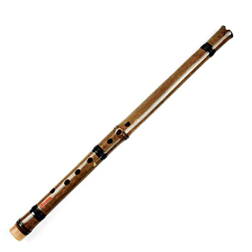 TsoLay Anfänger Flöte Braun Vertikale Bambus Flöte Anfänger Flöte Holzblasinstrument Xiao Anzüge für Anfänger und professionelle Darsteller, Musikinstrument
