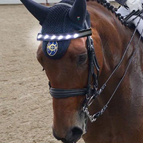 QQY LED Korsett Führende Pferd Kopf Reifen LED Streifen Visuelle Positionierung Pferd Kopf Kopfband für Nacht Reiten Events (Weiß)
