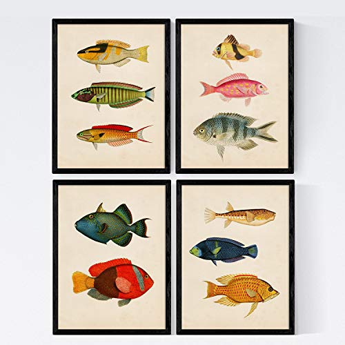 Nacnic Set 4 Blatt Fisch Jahrgang bunten Effekt. Molukken. Zusammensetzung von 11 verschiedenen Fischen in A3-Format, Hintergrund Altpapier Jahrgang Posterpapier 250 gr hohe Qualität. Frameless