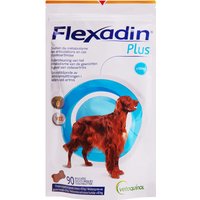 Flexadin Plus Maxi (ab 10 kg)