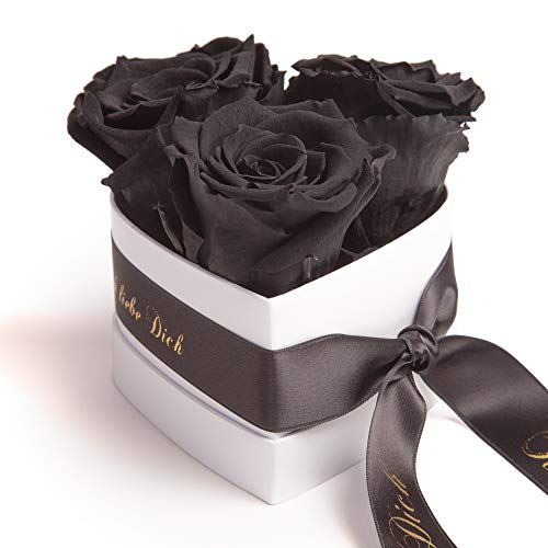 ROSEMARIE SCHULZ Heidelberg Infinity Rosenbox in Herzform mit konservierten Rosen in Schwarz Geschenk zum Valentinstag (Schwarz, Small)