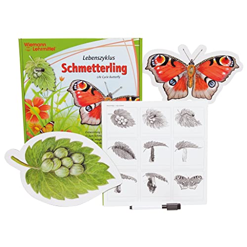 Vom Ei zum Schmetterling, Lebenszyklus"Schmetterling" 9- Magnetteile | Wiemann Lehrmittel
