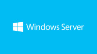 Microsoft Windows Server 2019 Essentials - Box-Pack - 1 Prozessor - DVD - 64-bit - Englisch