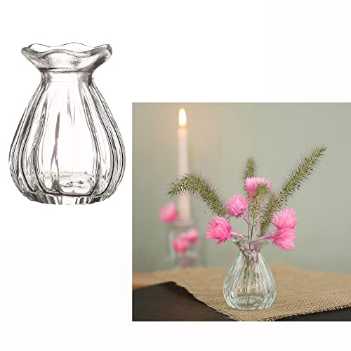 12 x Vasen aus Glas für eine stilvolle Tischdeko - Glasvasen Hochzeit - Blumenvase Vintage - Tischvase für Festlichkeiten - Kleine preiswerte Vasen aus Glas (Fleur (H 9 cm - Ø 7 cm))