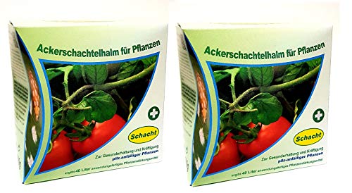 2x Ackerschachtelhalm 200 g Pflanzenstärke Gemüse Zierpflanzen