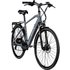 ZÜNDAPP E-Bike Trekking »Z810«, 28 Zoll, RH: 48 cm, 24-Gang - grau