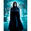 Harry Potter Impression en Verre Snape 30 x 40 cm