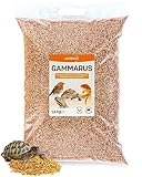 petifool Gammarus 1600g – getrocknete Bachflohkrebse - gesunder Snack für Schildkröten, Fische, Vögel, Reptilien und Nager – natürliches Futtermittel