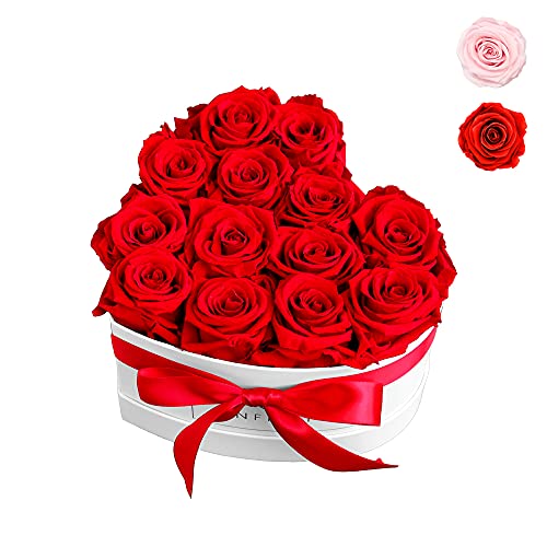 Infinity Flowerbox Heart Konservierte Rose, Vibrant Red, Large
