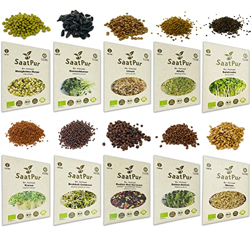 SaatPur Bio Keimsprossen Set (10 Sorten) Alfalfa, Weizen, Sonnenblumen, Daikon Rettich, Rauke, Radies, Mungo, Linsen, Kresse, Brokkoli
