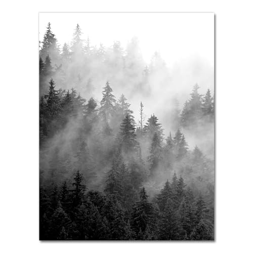 Natur druckt wald wandkunst schwarz und weiß baum poster neblig wald landschaft leinwand malerei wandbild wohnkultur (Color : 3448-01, Size : 60x90cm No Frame)