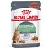 Sparpaket Royal Canin Pouch 24 x 85 g - Digestive Care in Soße