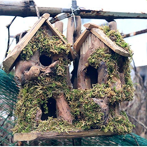QTMY Schutz-Holz Vogelhäuser für Außen Aufhängen Garden Decor, Birds Nistkasten Käfig Feeder