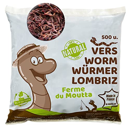 500 STK. Kompostwürmer (250g) | Regenwürmer Eisenia, kompostieren Sie Ihren organischen Abfall - Für Vermicomposter / Komposter / Garten