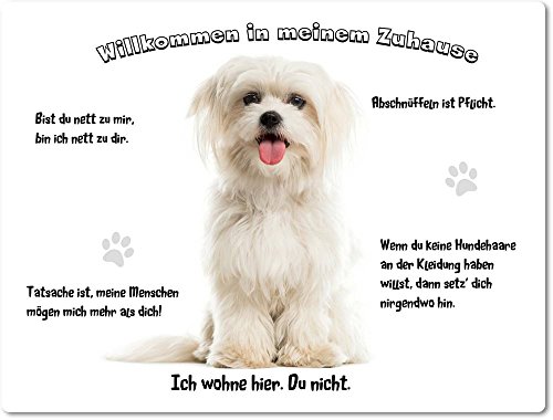 Merchandise for Fans Blechschild/Warnschild/Türschild - Aluminium - 30x40cm - - Willkommen in Meinem Zuhause - Motiv: Malteser Hund Porträt - 05