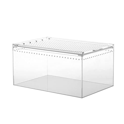 Acryl-Terrarium | Transparente Futterbox für Reptilien,Tragbarer Brutbehälter, auslaufsichere Vitrine für Spinnen, Skorpione, Gottesanbeterinnen, kleine Schlangen, Einsätze Youding