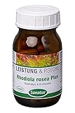 Rhodiola Rosea Plus B-Vitamine Kapseln