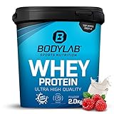 Bodylab24 Whey Protein Eiweißpulver | 2kg | Himbeer-Joghurt | hochwertiges Proteinpulver, Low Carb Eiweiß-Shake für Muskelaufbau und Fitness