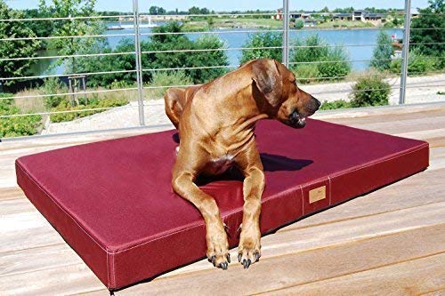 tierlando® Mobile Hundematratze Hugo Basic | Gehobene Stabilität & Qualität! | Anti-Haar Polyester | | L 100 x 80 x 13 cm | Dunkelrot Bordeaux