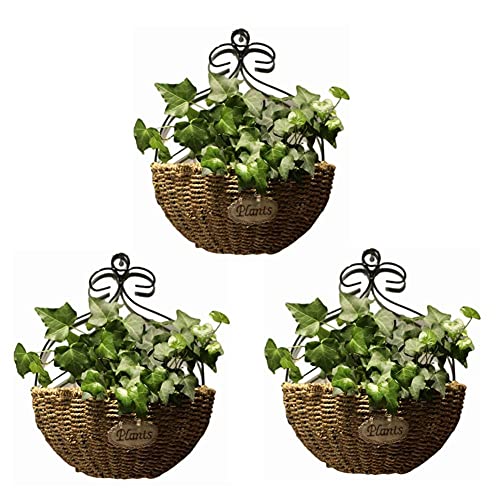 WUHUAROU 3 Stück Wandbehang Blumentöpfe Hängende Wand Grüner Blumentopf Blumentopf Rattan-Korb für Outdoor Garten Pflanze