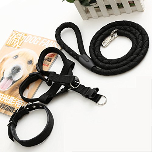 LTLCLZ Haustier Leine Halsband Halsband Hund Kette Brustgurt Mittelgroße Kleine Hund Hund Dreiteilige Seil
