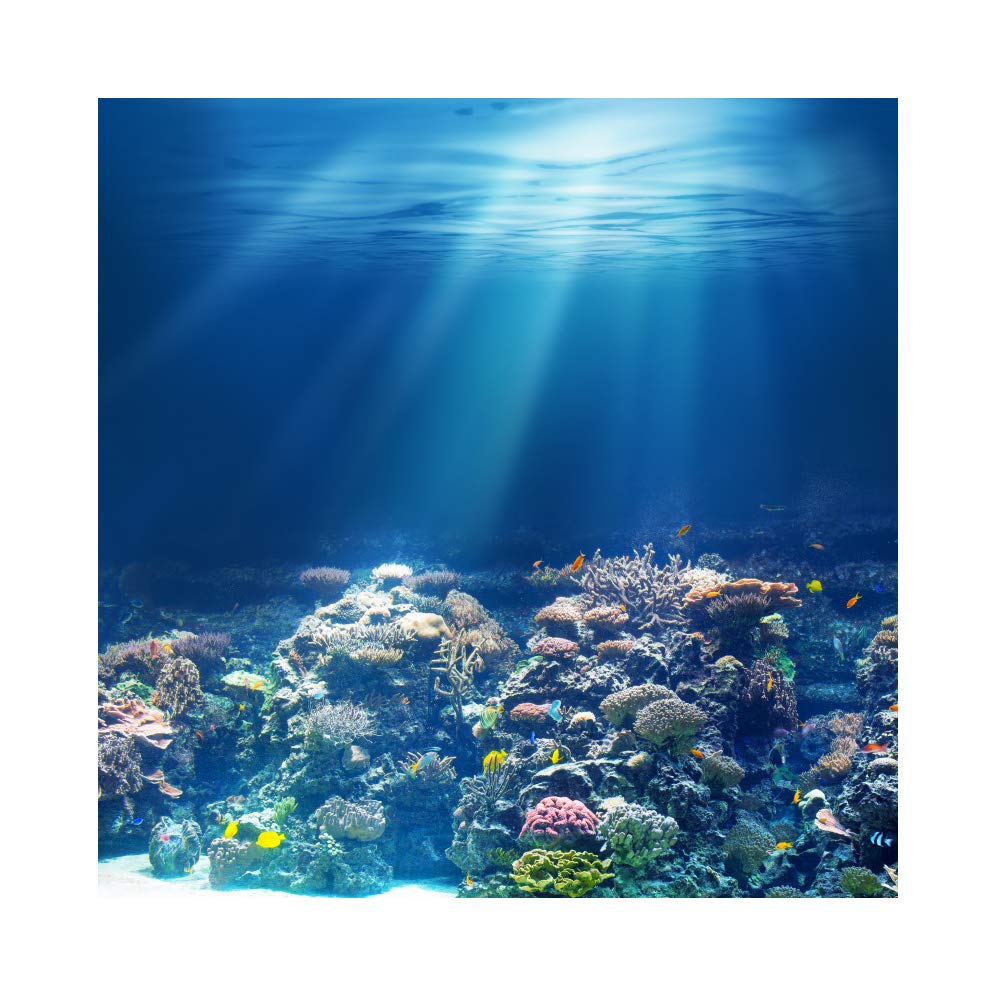 YongFoto 2x2m Vinyl Foto Hintergrund Tiefer Unterwasserhintergrund Sonnenlicht Fische Korallen Aquarium Fotografie Hintergrund Partydekoration Geburtstag Fotoshooting Fotostudio Hintergründe