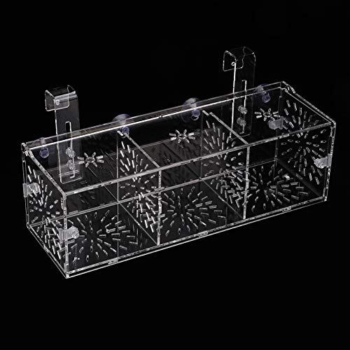 Fischzucht Box, Acryl Transparent Fischisolationsbox Aquarium Brutkästen mit Isolierbrett für Babyfischen Babygarnelen(30CM*10CM*10CM)