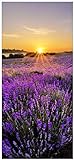 Wallario Selbstklebende Türtapete Sonnenuntergang über dem Lavendel - 93 x 205 cm in Premium-Qualität: Abwischbar, Brillante Farben, rückstandsfrei zu entfernen