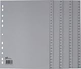 ELBA 100204663 Kunststoff-Register 5er Pack 1-100 100-teilig A4 grau ohne Deckblatt Ringbuch Ordner Plastikregister Ring-Mappe