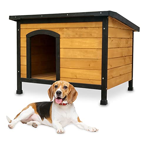 zooprinz wetterfeste Hundehütte Carlo massivem Holz und Dach zum Öffnen - perfekt für draußen - mit umweltfreundlicher Farbe gestrichen - 3 Größen zur Wahl (Hundehütte L)