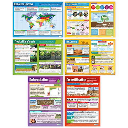 Ecosystems Poster – Set von 6 | Geographie-Poster | laminiertes Hochglanzpapier mit den Maßen 850 mm x 594 mm (A1) | Geografie-Poster | Bildungstabellen von Daydream Education