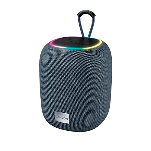 Canyon Bluetooth Speaker BSP-8 TF Reader/USB-C/10W grey retail (CNE-CBTSP8G)