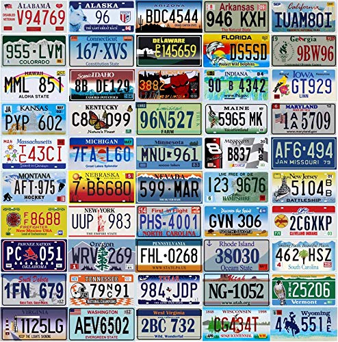OPO 10 - 50 US-Bundesstaaten LIZENZPLATTEN Set - Replica Real American USA Metal Car Plates