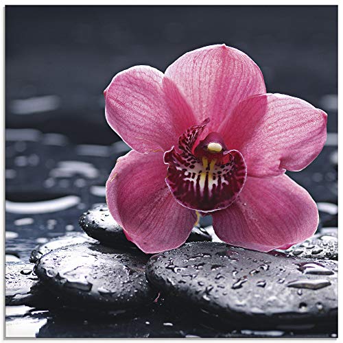 Artland Qualitätsbilder I Glasbilder Deko Glas Bilder 40 x 40 cm Botanik Blumen Orchidee Foto Pink Rosa A6NH Stillleben Kiesel Orchidee
