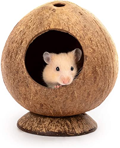 Kokosnusshütte Hamsterhaus Bett für Rennmäuse Mäuse Kleintierkäfig Habitat Dekor