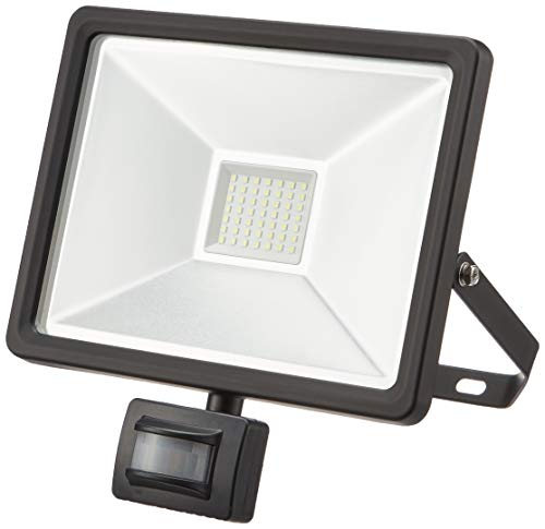 Goobay 44529 LED-Außenstrahler mit Bewegungsmelder EEK: A (A++ - E) 50 W Tageslicht-Weiß