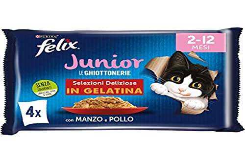 Purina Felix Le Ghiottonerie Feuchtigkeit für Katzen Junior mit Rind und Huhn, 48 Beutel à 85 g
