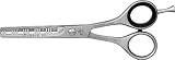 Expert 5.5 inch Professional Texturing Hairstylist Scissors Stainless